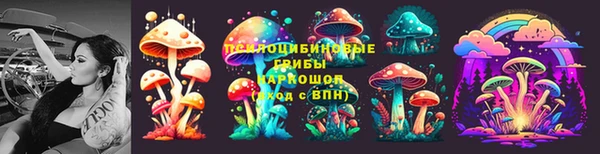соль ск Кукмор