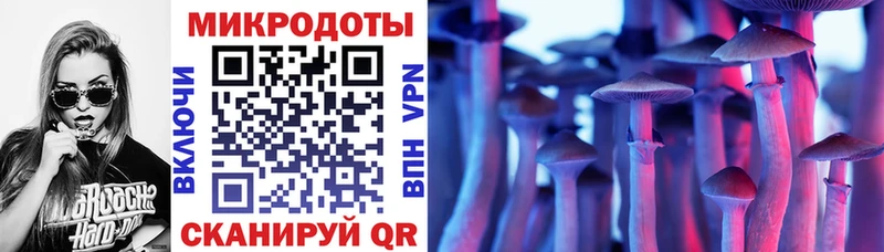 ОМГ ОМГ зеркало  Буйнакск  Галлюциногенные грибы Psilocybe 